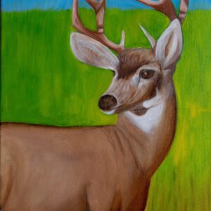 DEER IN THE PARK,